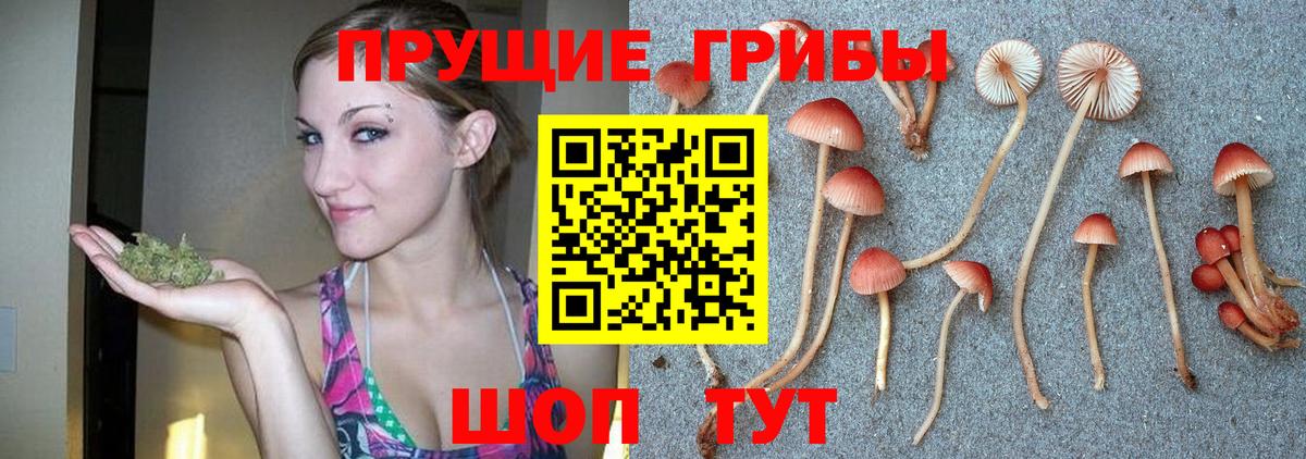 как найти наркотики  Вход с VPN  Янаул  Галлюциногенные грибы Psilocybine cubensis 